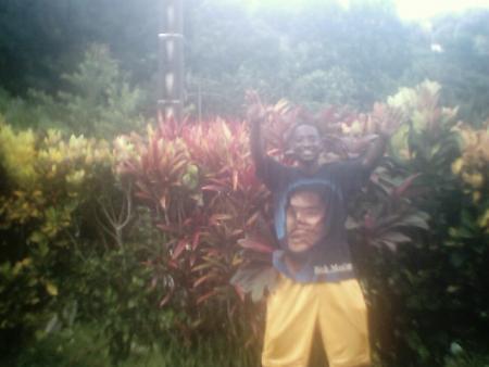 joel alias luchia
